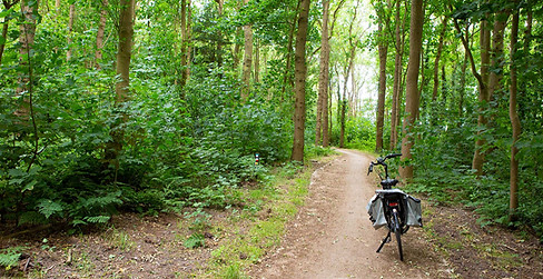 Fietsen in het Gaasterland