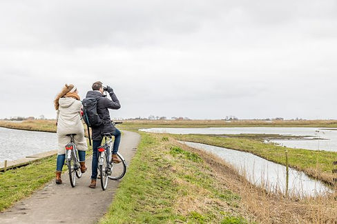 Fietsers op de Swalkroute bij Wommels