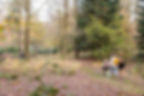 Wandern in den Wäldern in der Nähe der friesischen Seen