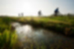 Rennradfahrer in Friesland am Wasser