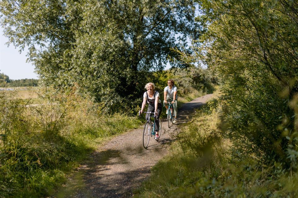 Fietsers in Friesland