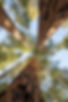 DSC_2761.jpeg