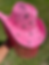 Thumbnail: Custom Hat - Cowgirl Carter