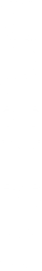white border.png