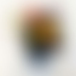 農家直送の新鮮なガーベラを全国へお届けします