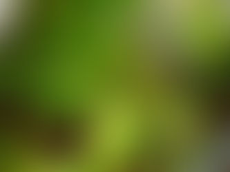 Extending the Growing Season