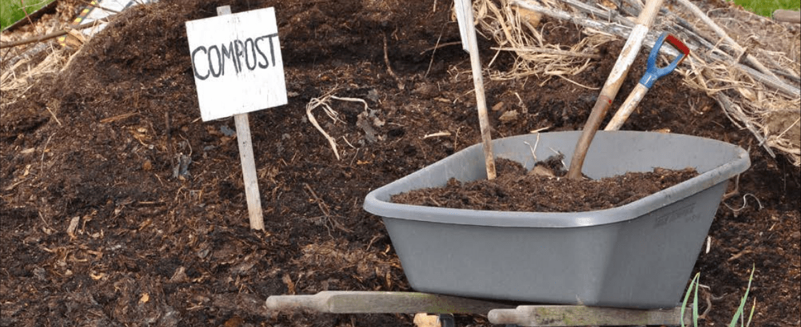 compost-pile.webp
