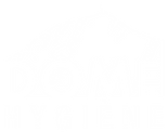 Dome Hygiene - Logo BL.png