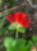IMG_3836.jpeg