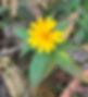 IMG_3856.jpeg