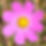 IMG_5181.jpeg