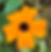 IMG_5099.jpeg