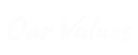 Aura Strategies Values Consulting