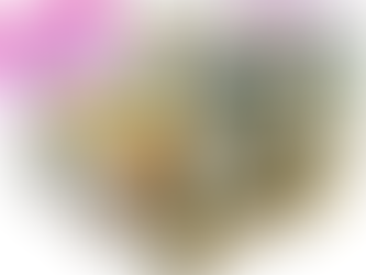 The Healthier Fruit Snacks For School Lunches