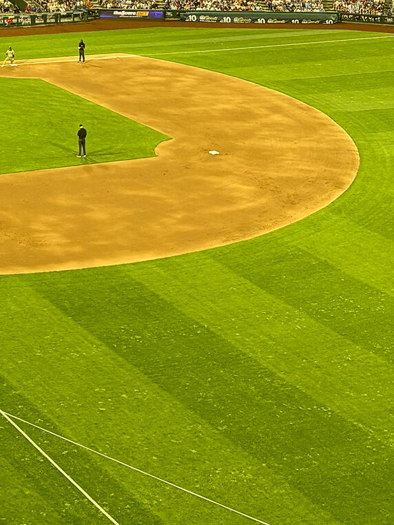 chartreuse_01.jpg