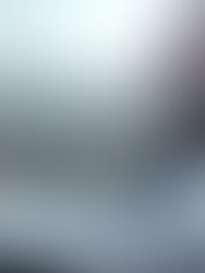 Enhancing Officer Wellness: Programs That Make a Difference