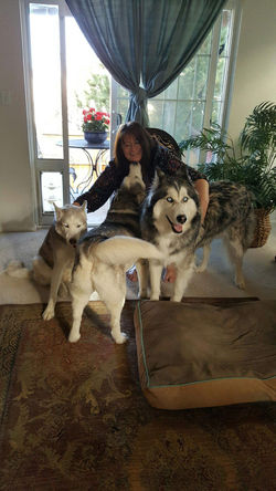 20161029_093017001_1482368535224