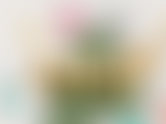 Mastering Financial Safety: Understanding Financial Scams