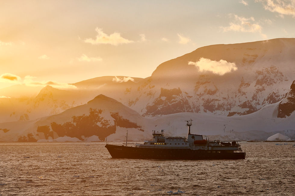 Antarctica, Plancius; Lemaire © Mike Louagie-Oceanwide Expeditions.jpg_Mike Louagie.jpeg