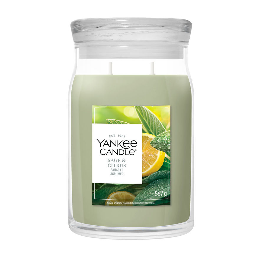 Sage & Citrus - Signature Large Jar Candle
