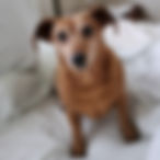 Chloe