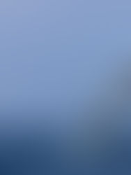 Tightly packed Figaro flock due at Wolf Rock around midnight