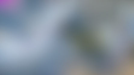 Le Tour de Belle île - Bulletin METEO CONSULT du Jeudi 8 mai 2025