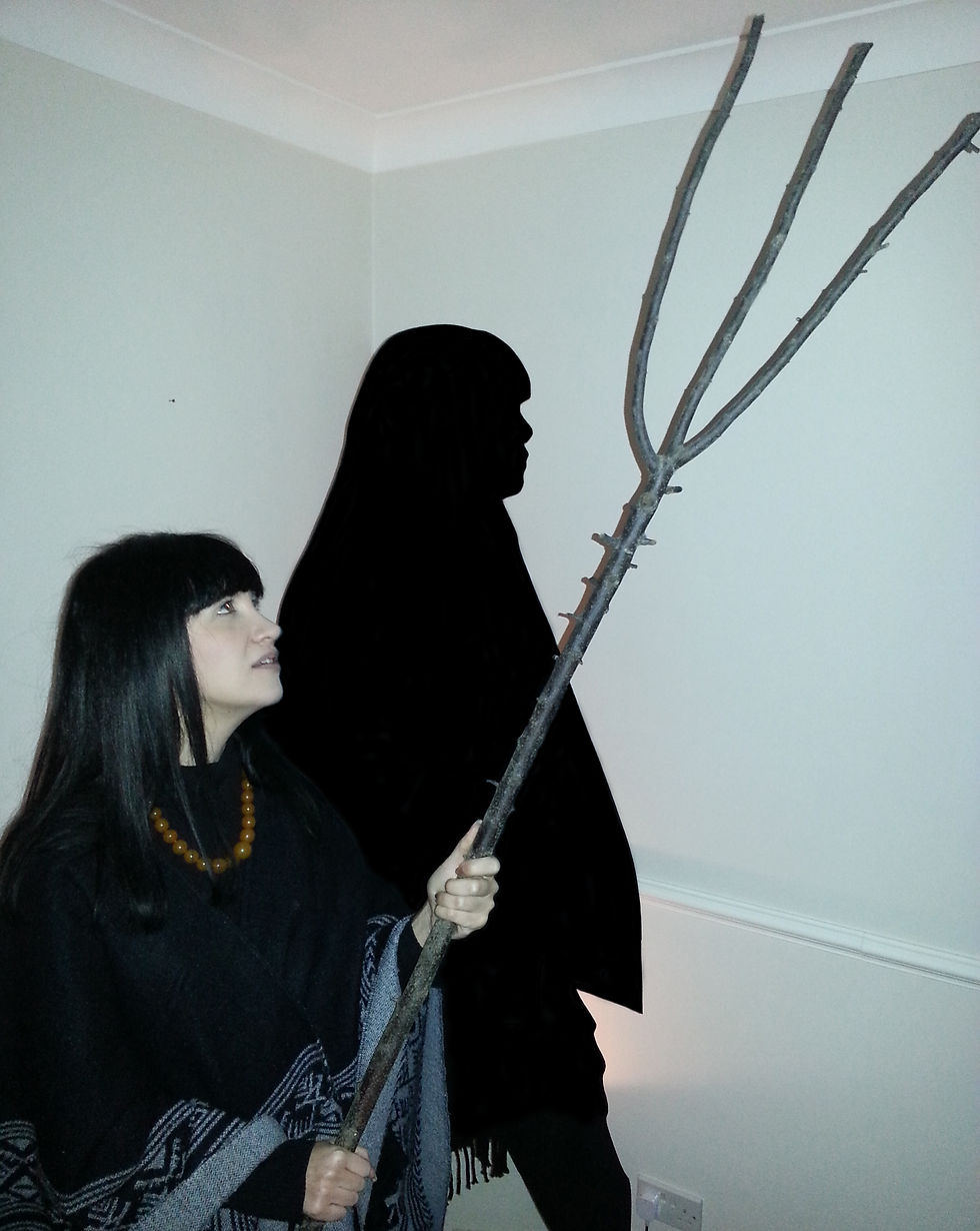 Shadow Catcher (2011)