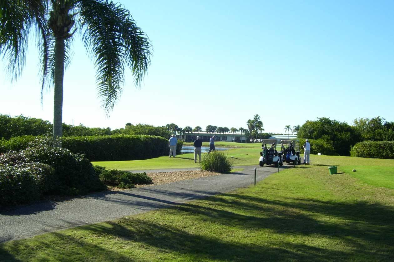 Lake Venice Golf Club Golf Club Venice Florida