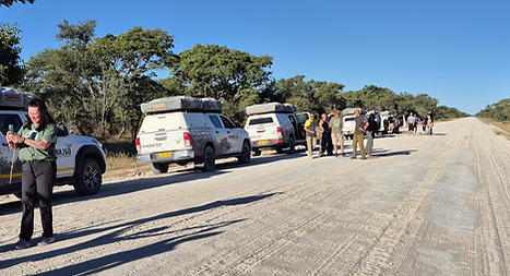 Copy of Untitled Design (54).png