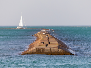 What Makes Windy City Sailing the Ideal Choice for Your Private Yacht Charter?