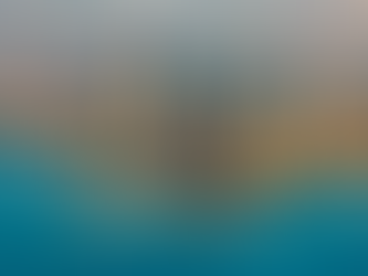 Why We Love Sailing in Chicago – A Personal Note from the Captains