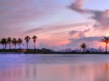 Miami's Best Wholesale Cell Phone Provider: A1A Solutions