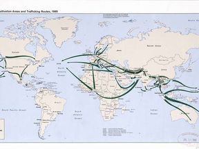 Building a Successful Wholesale Cell Phone Distribution Network