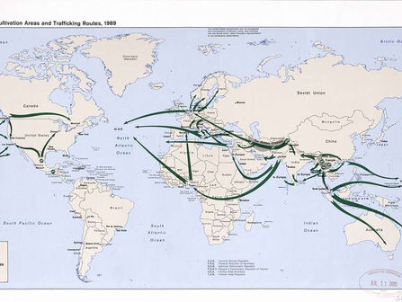 Understanding the Global Supply Chain of Wholesale Mobile Phones