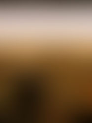 장경연 (석박통합과정) BK21 Excellent Paper Award