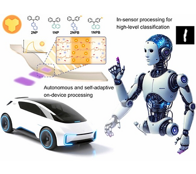 Self-adaptive All-Photonic Synapse for Autonomous Neuromorphic Robots.png