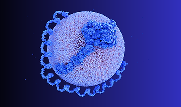 Lp(a).png
