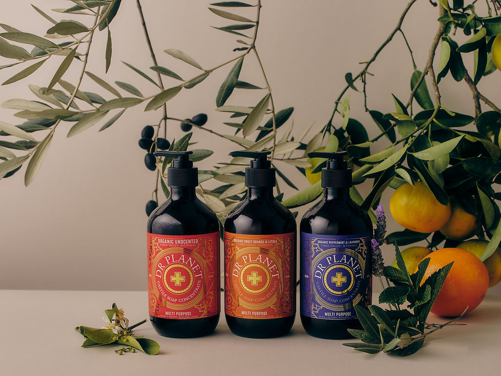 250523_DRPLANET0537 2.jpg