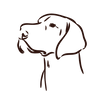 dr-planet-uses-04.png