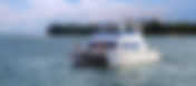 News Flash | Deal Fallen Through - here's your chance if you're very quick. 2017 (new) Power Catamaran 45'
