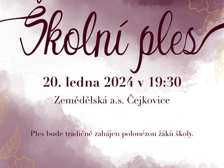 Školní ples