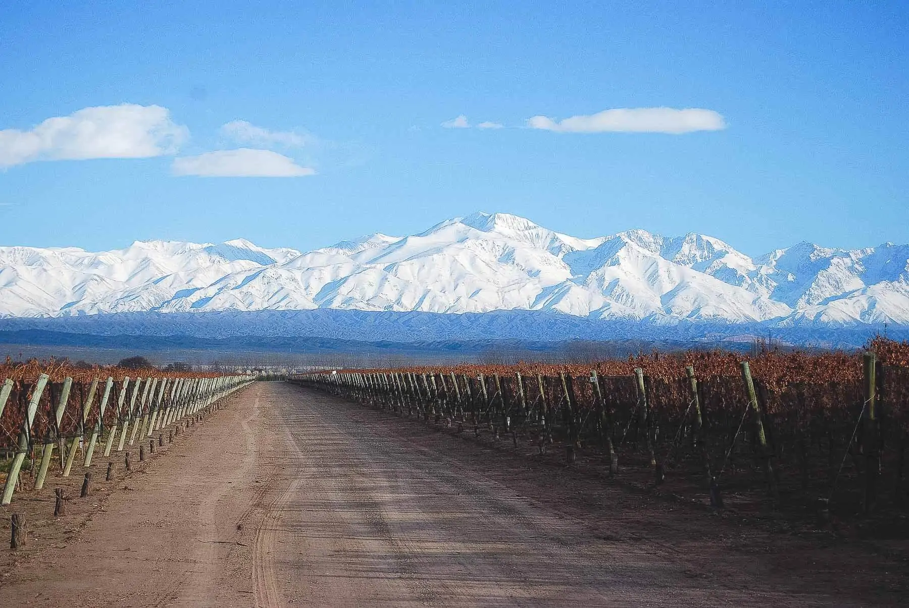 Caminho em Vinícola com Andes com neve ao fundo.