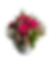 Bloom bliss