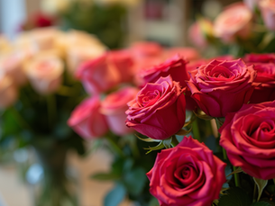 Sending Flowers to Morocco: A Guide to Capturing Emotion and Elegance
