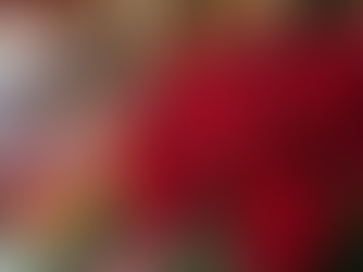 Romantic Red Roses for Valentine's Day Celebrations in Marrakech