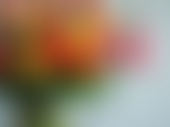 Create Stunning Flower Bouquets for Every Occasion