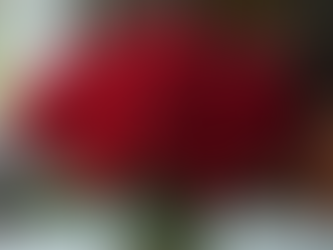 Send Love with Roses and Chocolates to Your Special Someone from Kech Flora