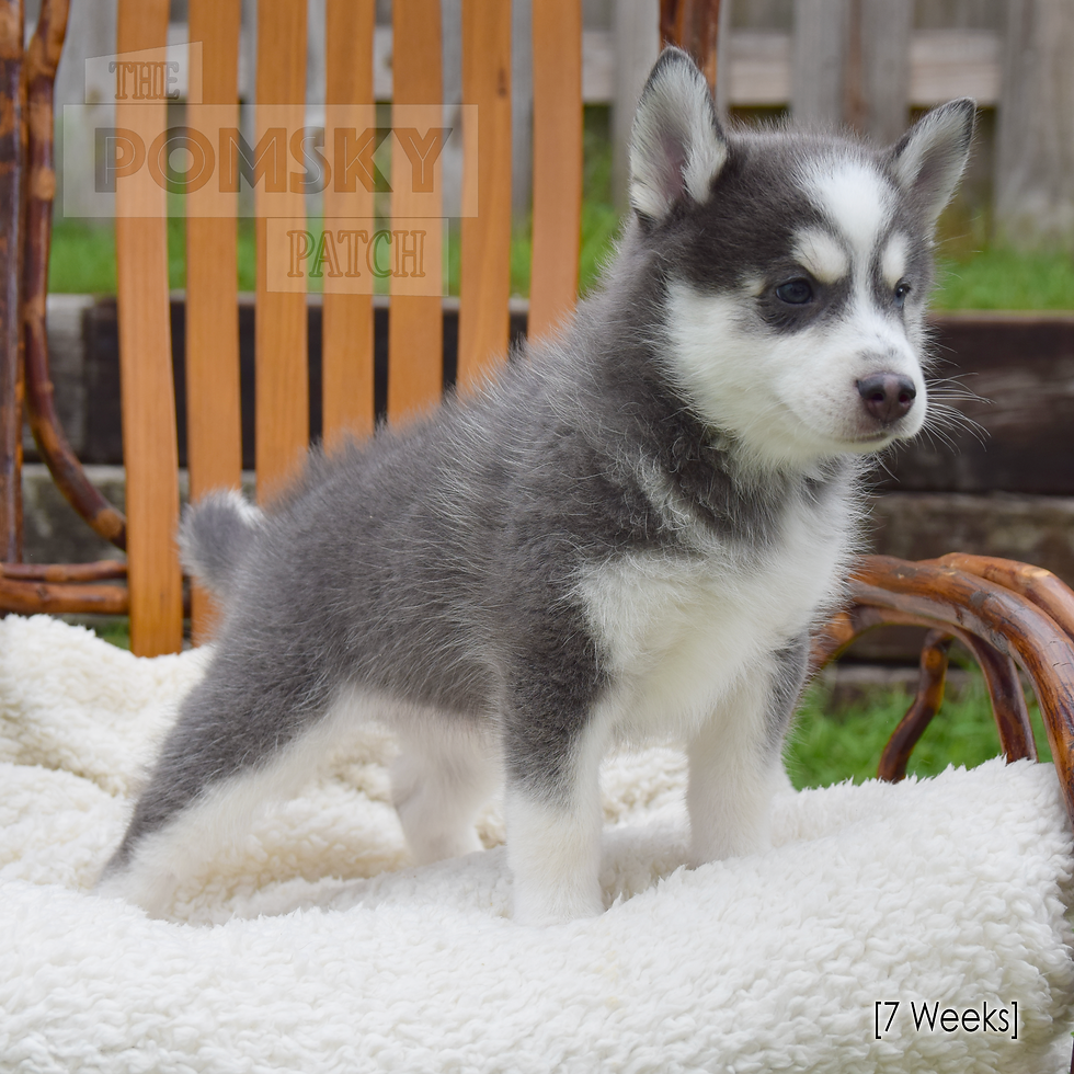 Week7 Maverick01