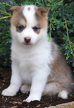 IMG_0819cx_edited.jpg